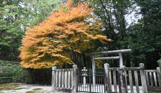 昼の宇多天皇大内山陵