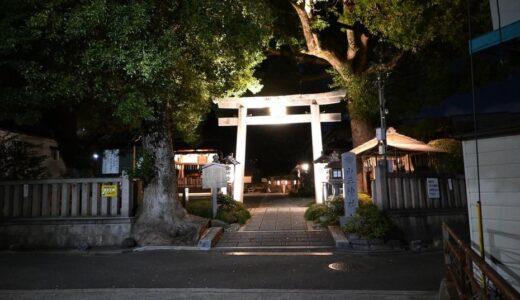 夜の山王神社